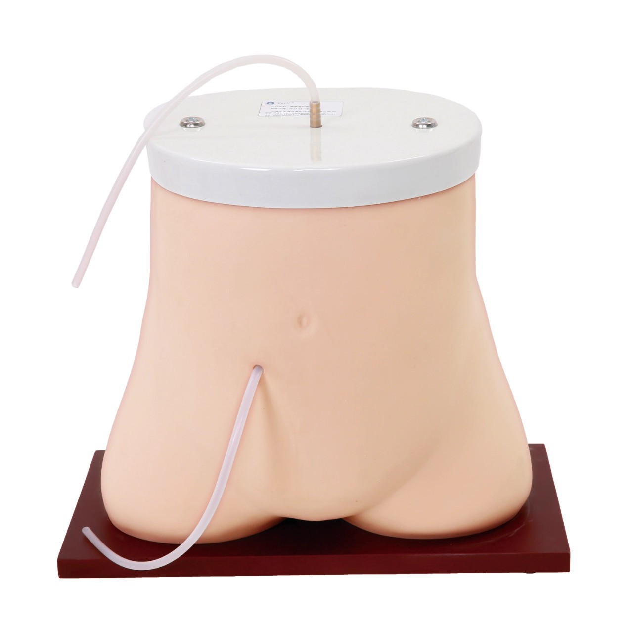 Anatomy Lab Peritoneal Dialysis Model