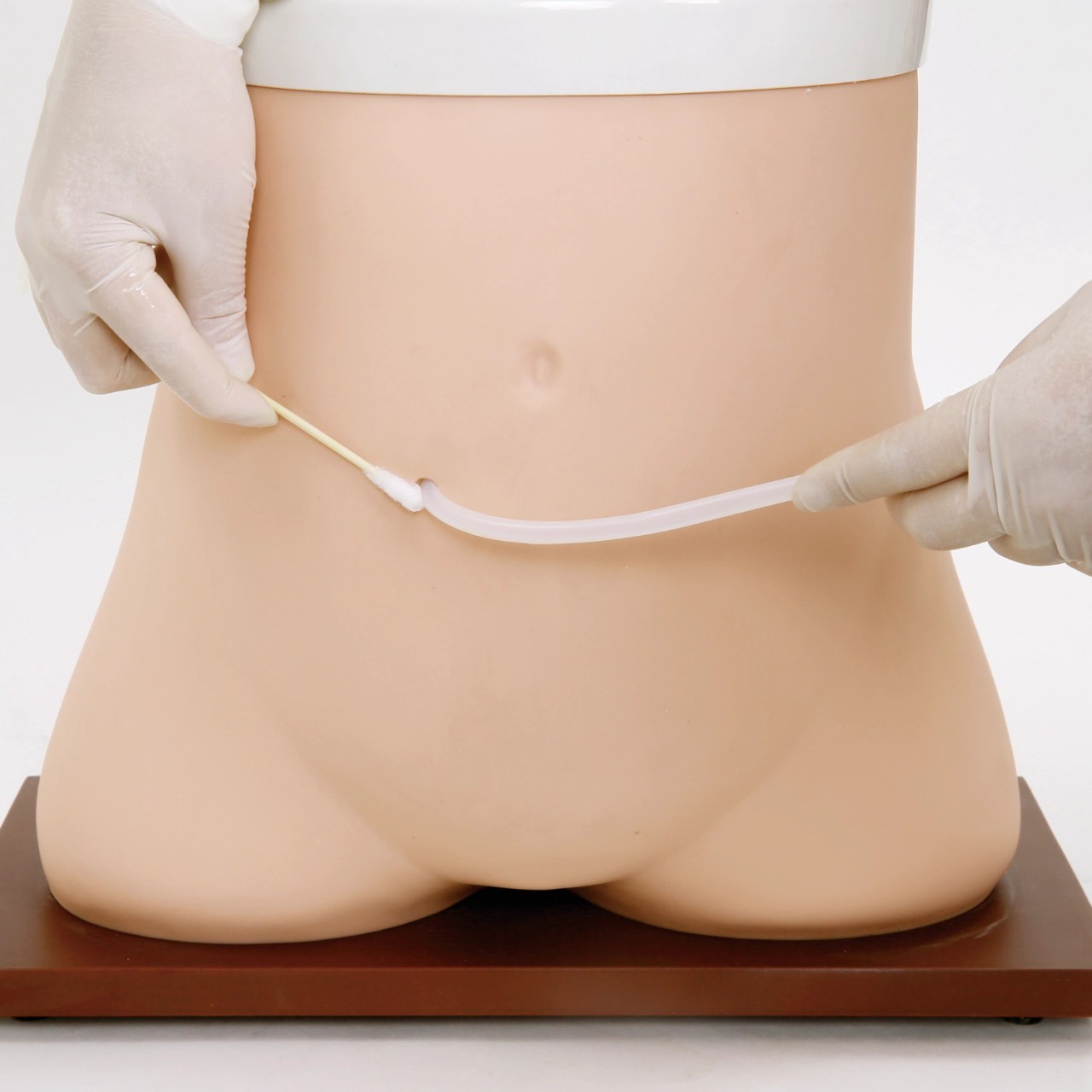 Anatomy Lab Peritoneal Dialysis Model