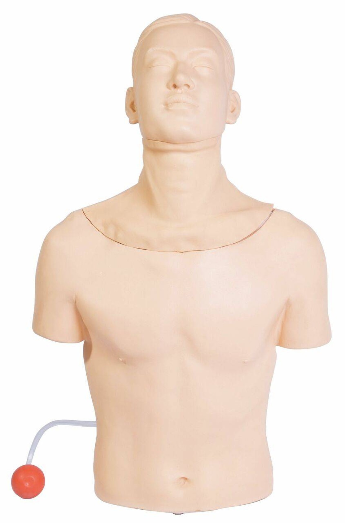 Anatomy Lab Tracheostomy Model