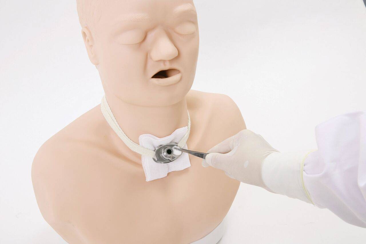 Anatomy Lab Tracheostomy Care Model Adult