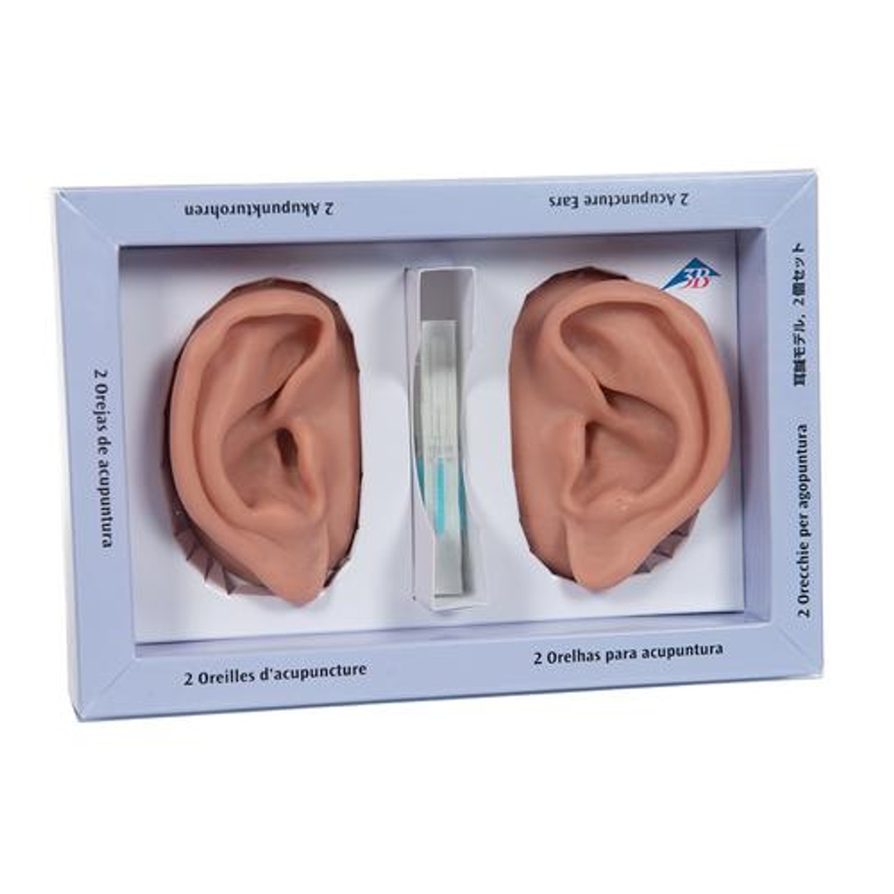 Acupuncture Ears Anatomy Model Set