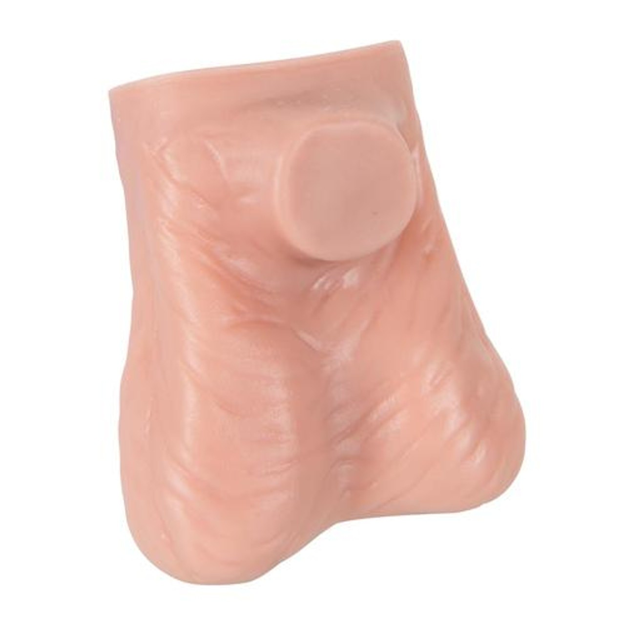 Life-Size Testicle Anatomy Model