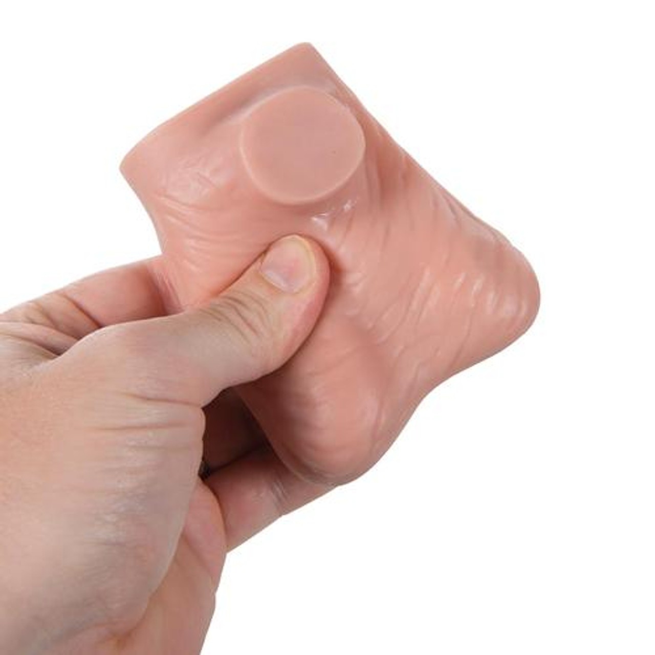 Life-Size Testicle Anatomy Model
