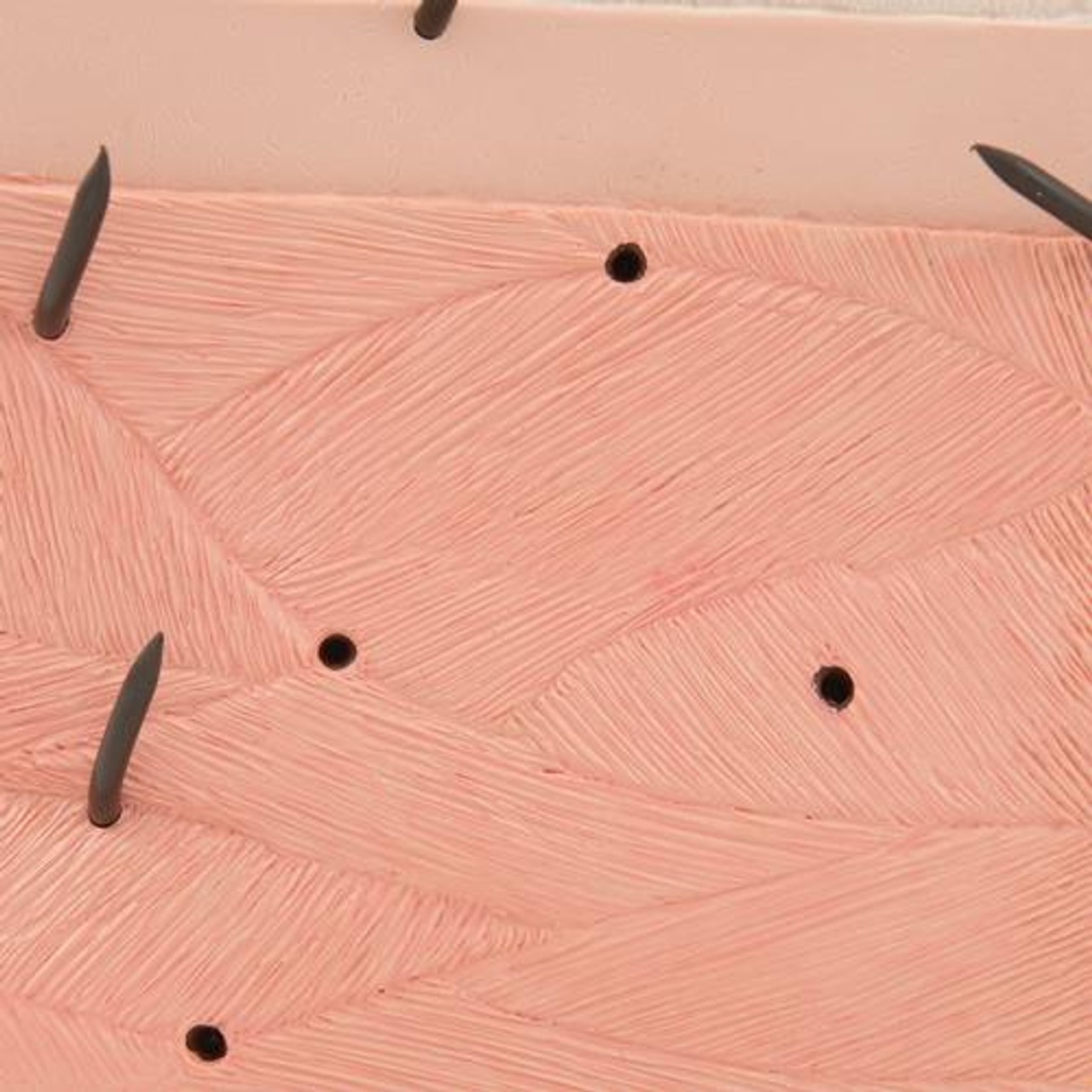 Human Skin Anatomy Block Model 70 Times Life-Size