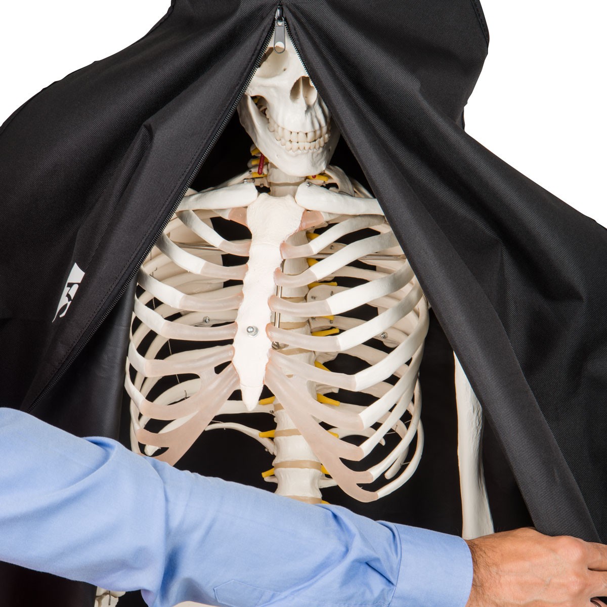 3B Scientific Full-Size Skeleton Model Protective Cover (Black