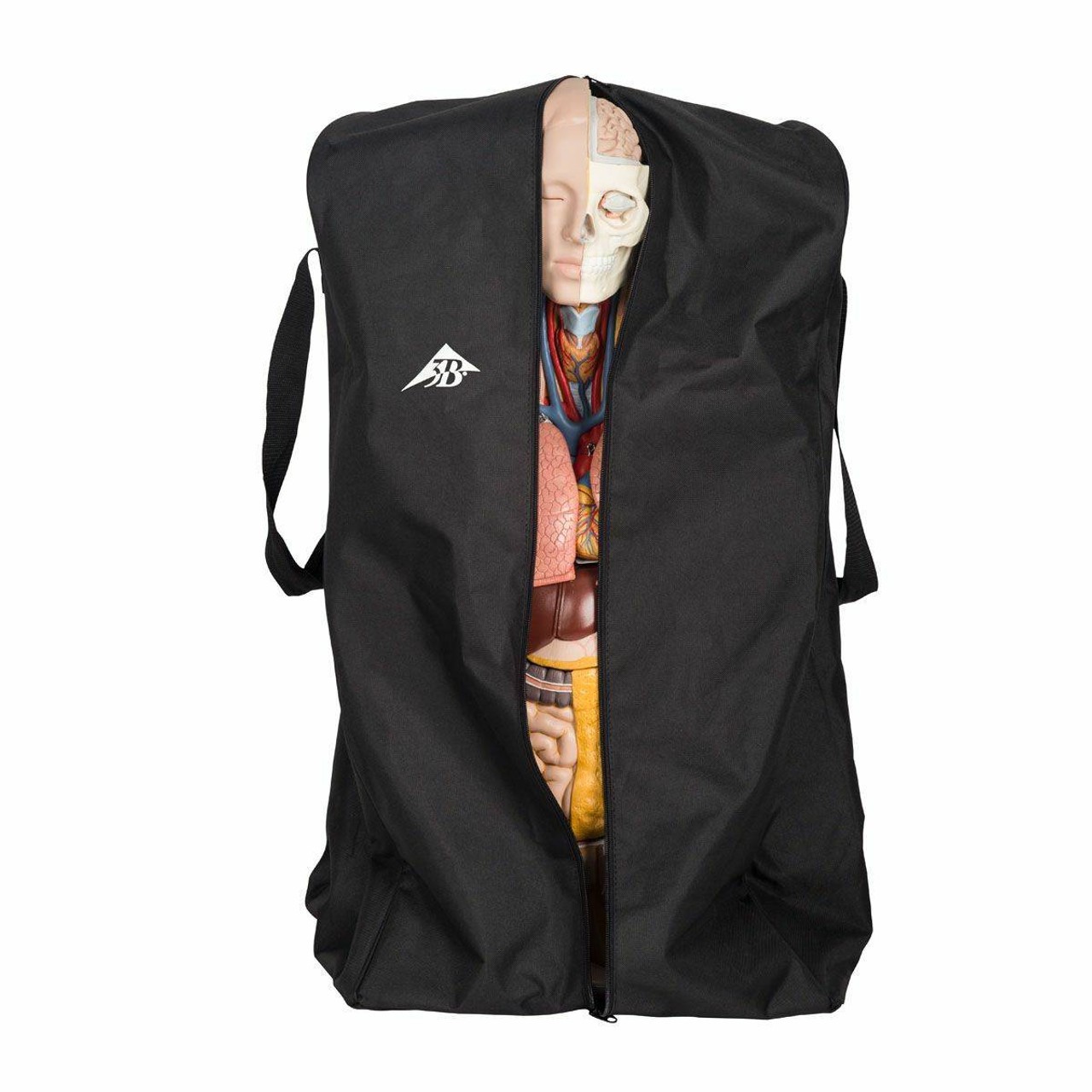 Full-Size Torso Model Protective Cover Black