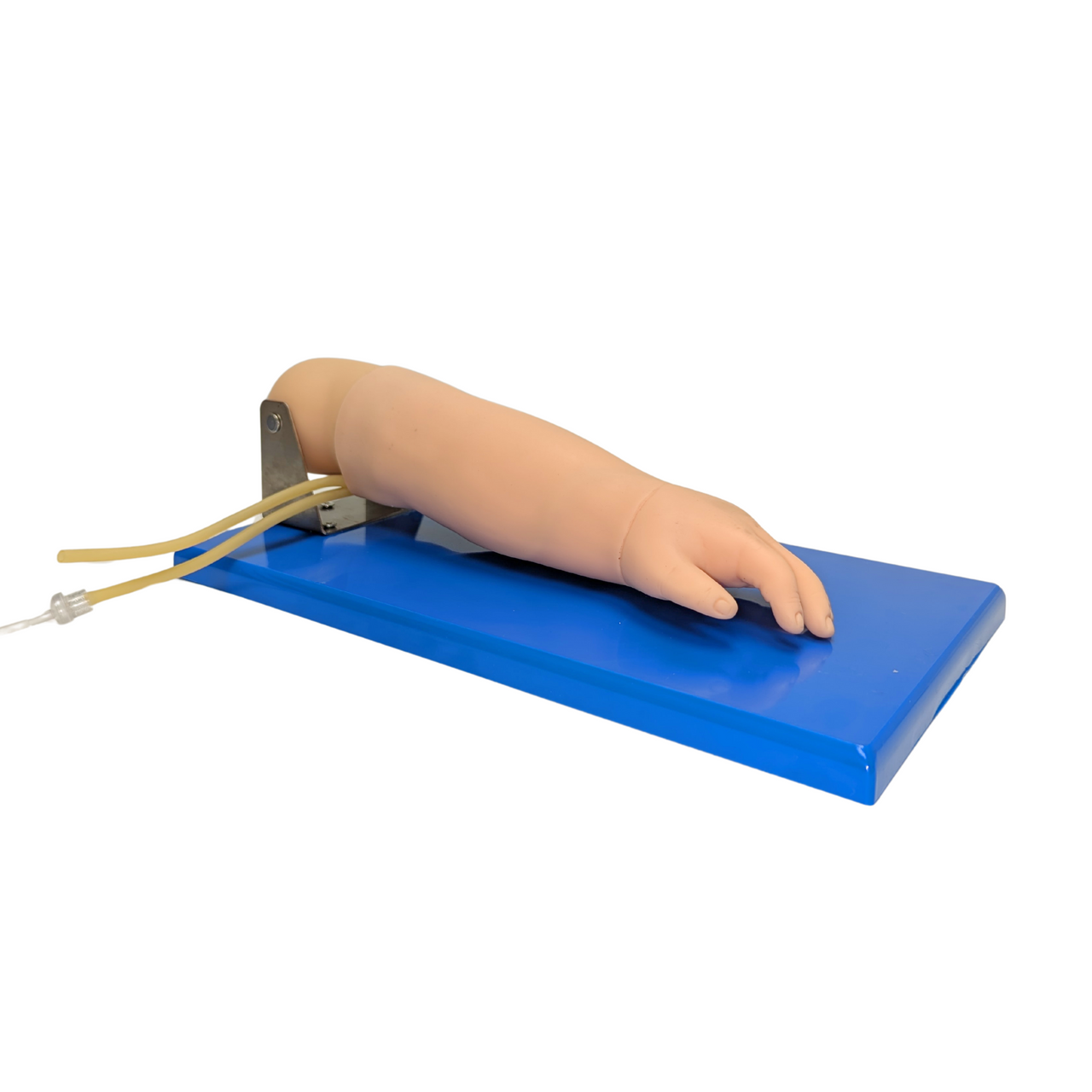 Anatomy Lab Advanced Pediatric Venipuncture Arm Model