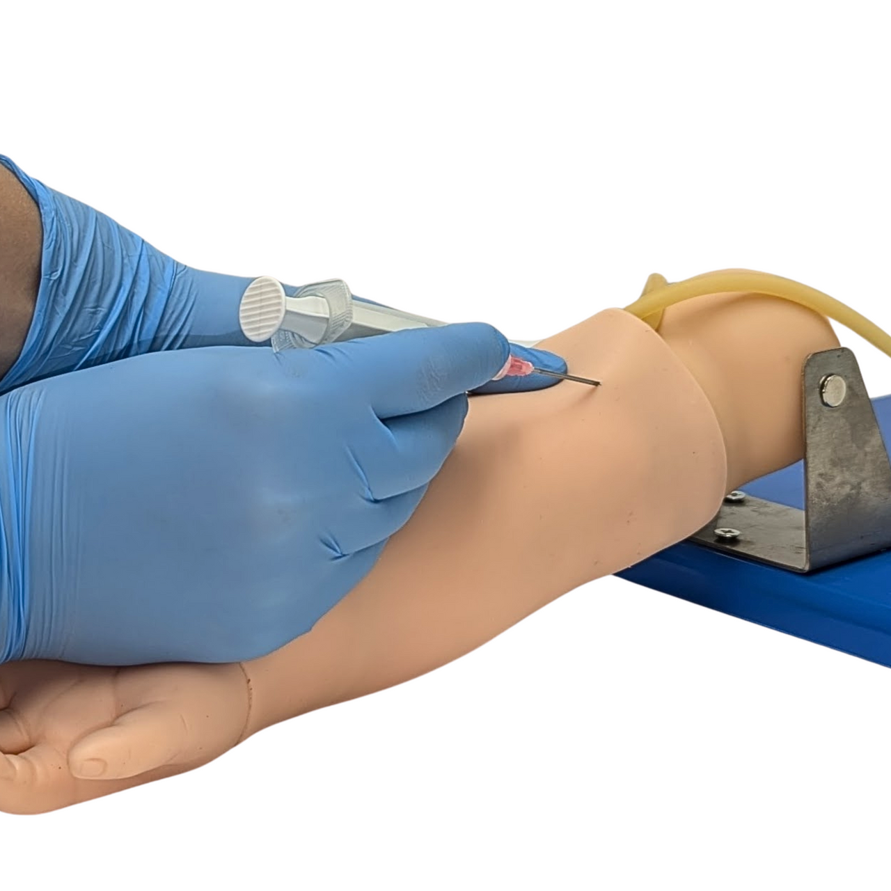 Anatomy Lab Advanced Pediatric Venipuncture Arm Model