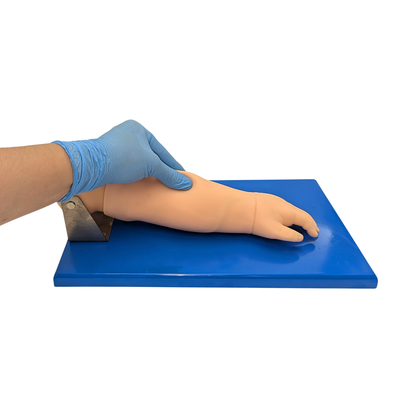Anatomy Lab Advanced Pediatric Venipuncture Arm Model