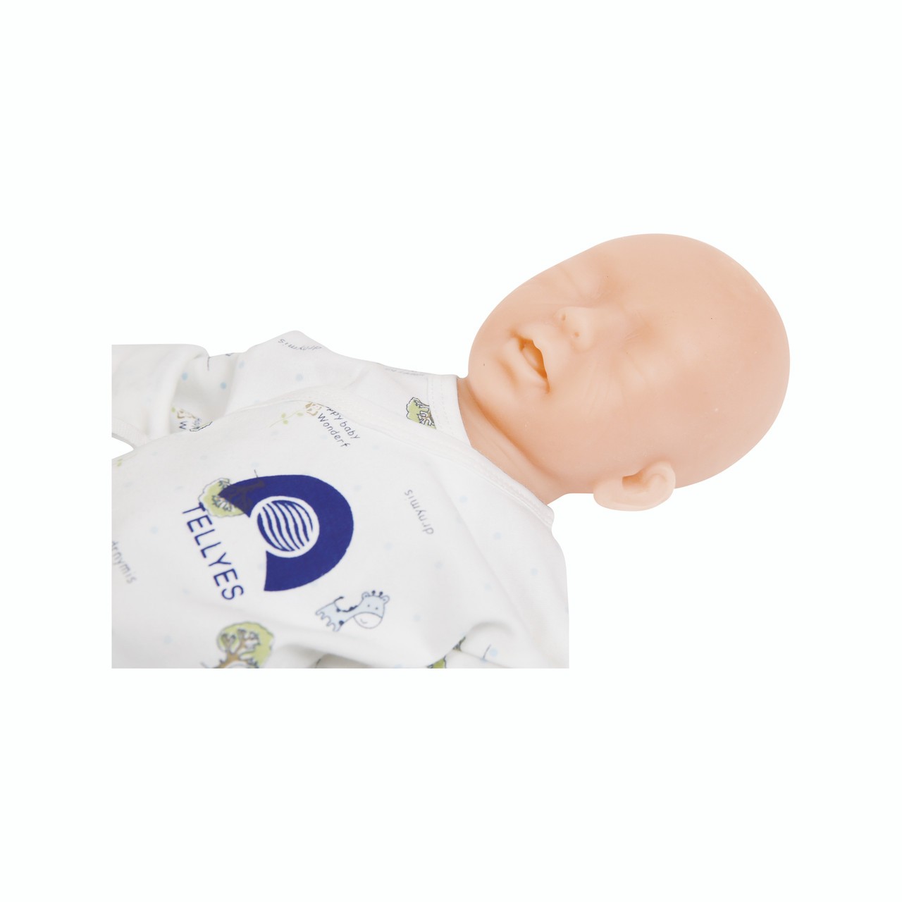 Anatomy Lab Twenty-four Weeks Premature Infant Model - Detail View