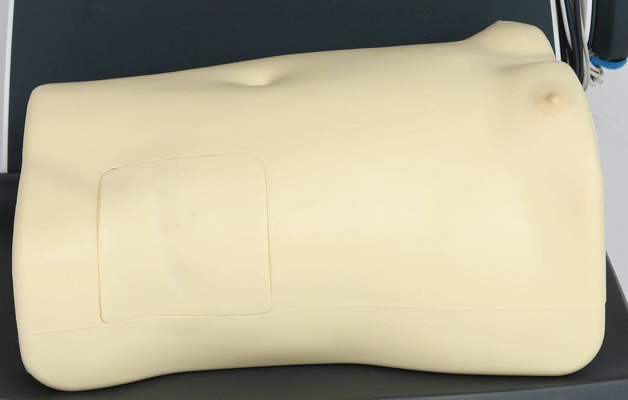 Anatomy Lab Multi-Puncture Simulator