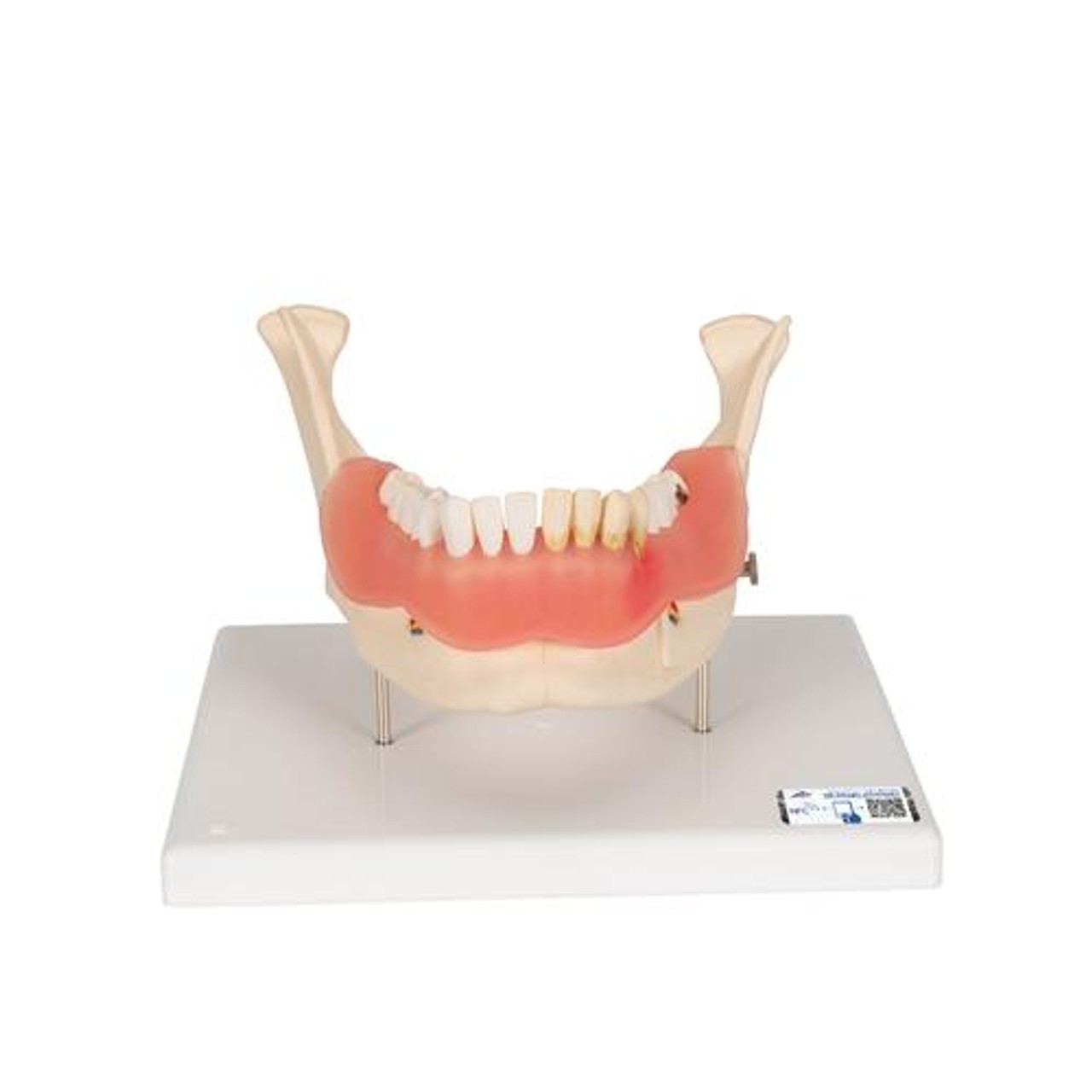 すべての歯科医師のための臨床解剖学に基づいたComprehensive Dental Surgery すべての歯科医師のための 臨床解剖学に基づいたComprehensive