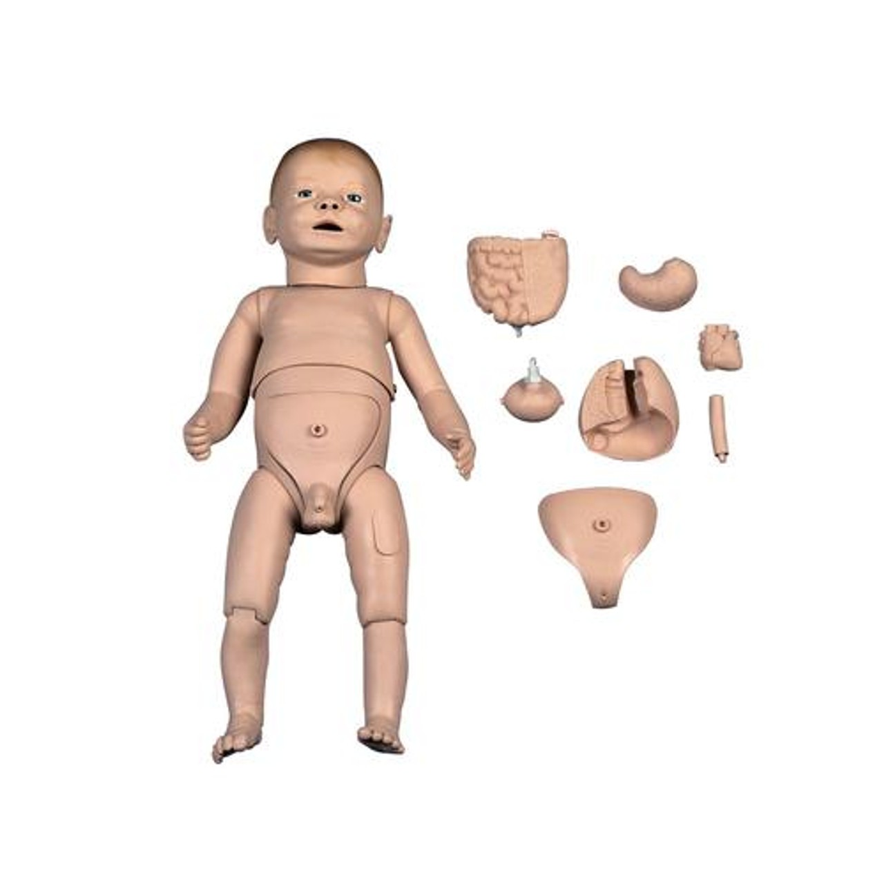 Deluxe Dual-Sex Nurse Training Baby
