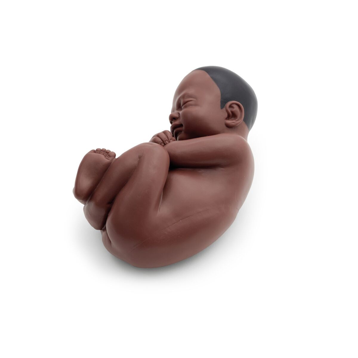 Pregnancy Pelvis Model with 40-Week Fetus, 3-Parts, Dark Skin