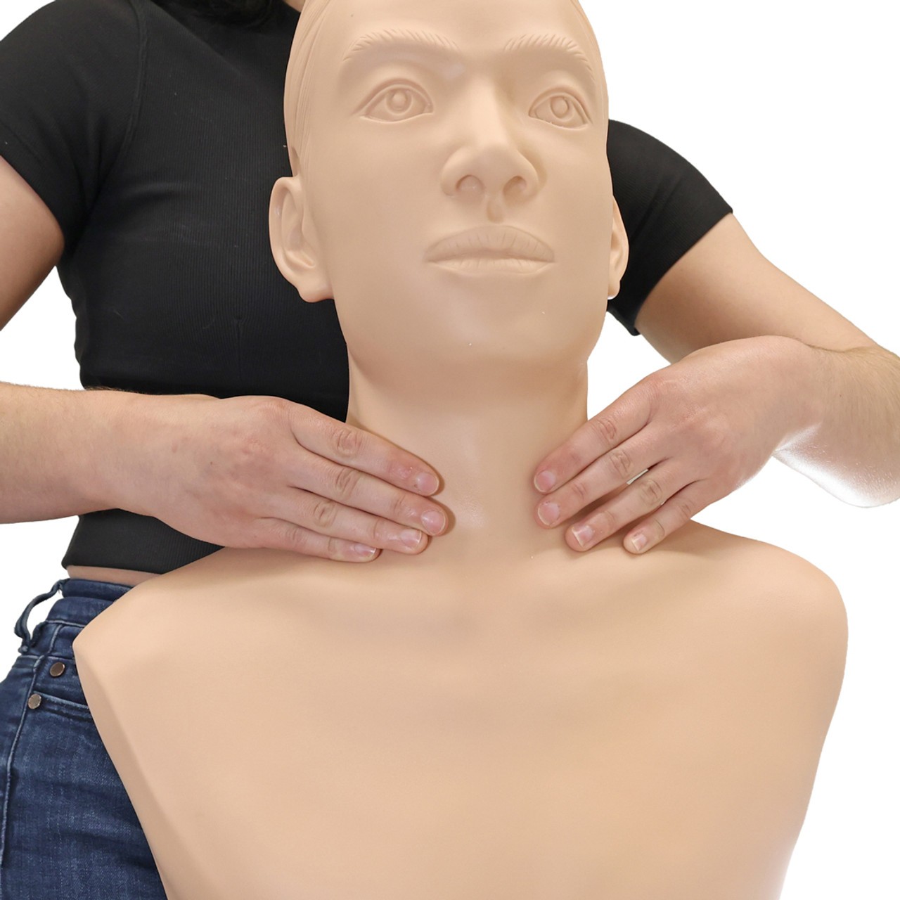 Anatomy Lab Thyroid Gland Examination Simulator