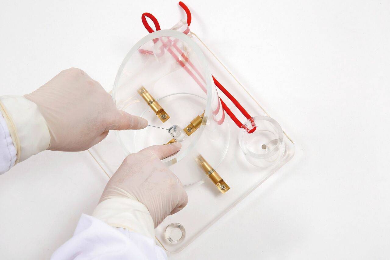 Anatomy Lab Knot Tying Trainer