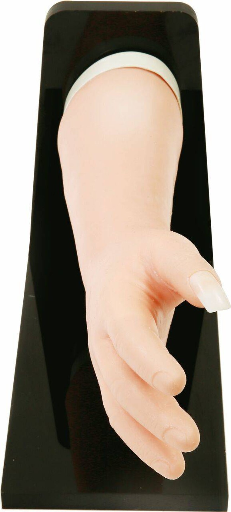 Anatomy Lab Fingernail Removal Trainer