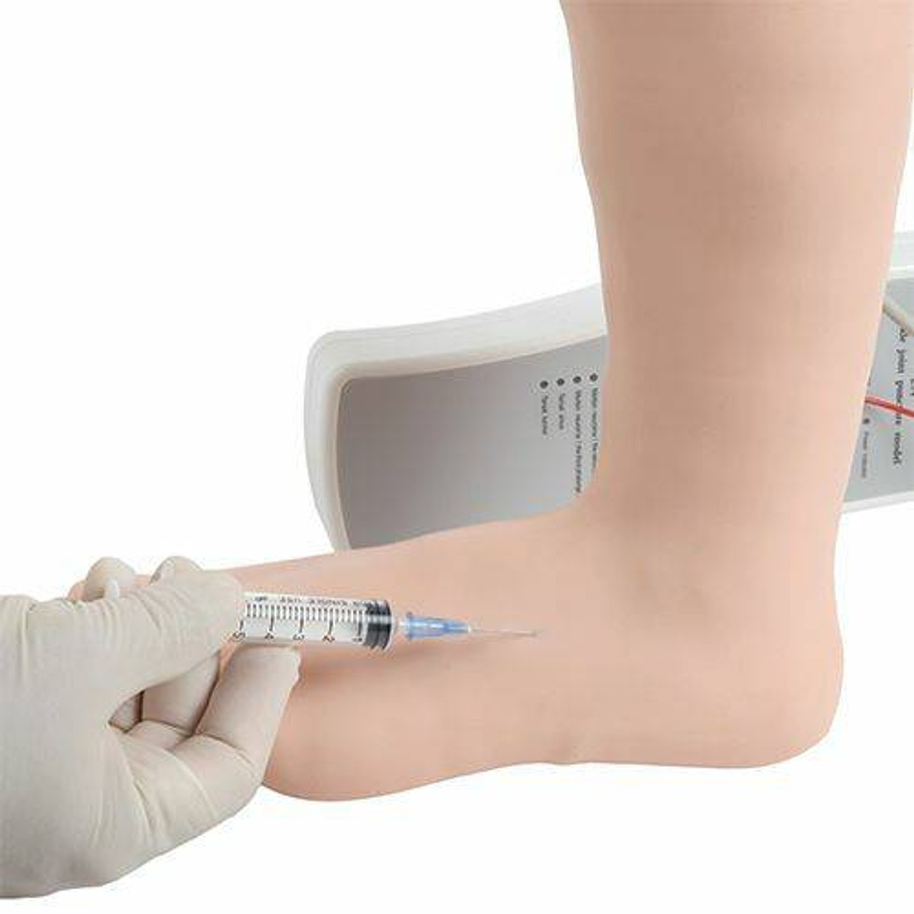 Anatomy Lab Ankle Injection Model