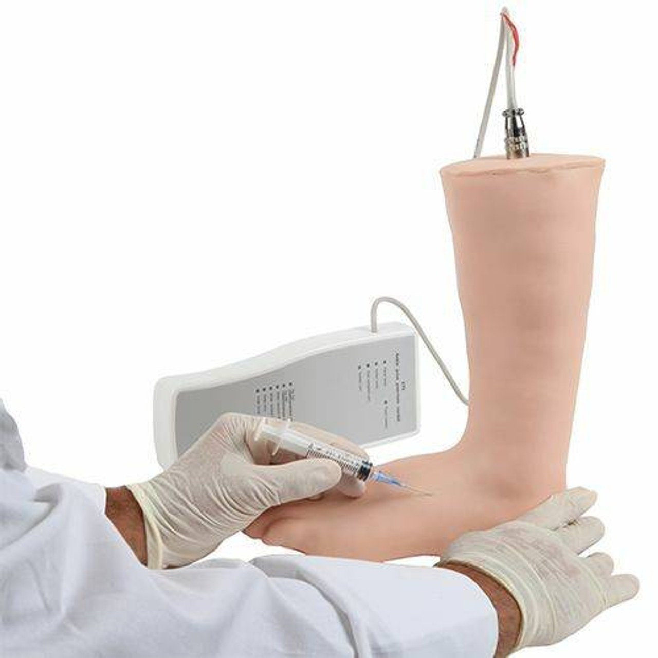 Anatomy Lab Ankle Injection Model