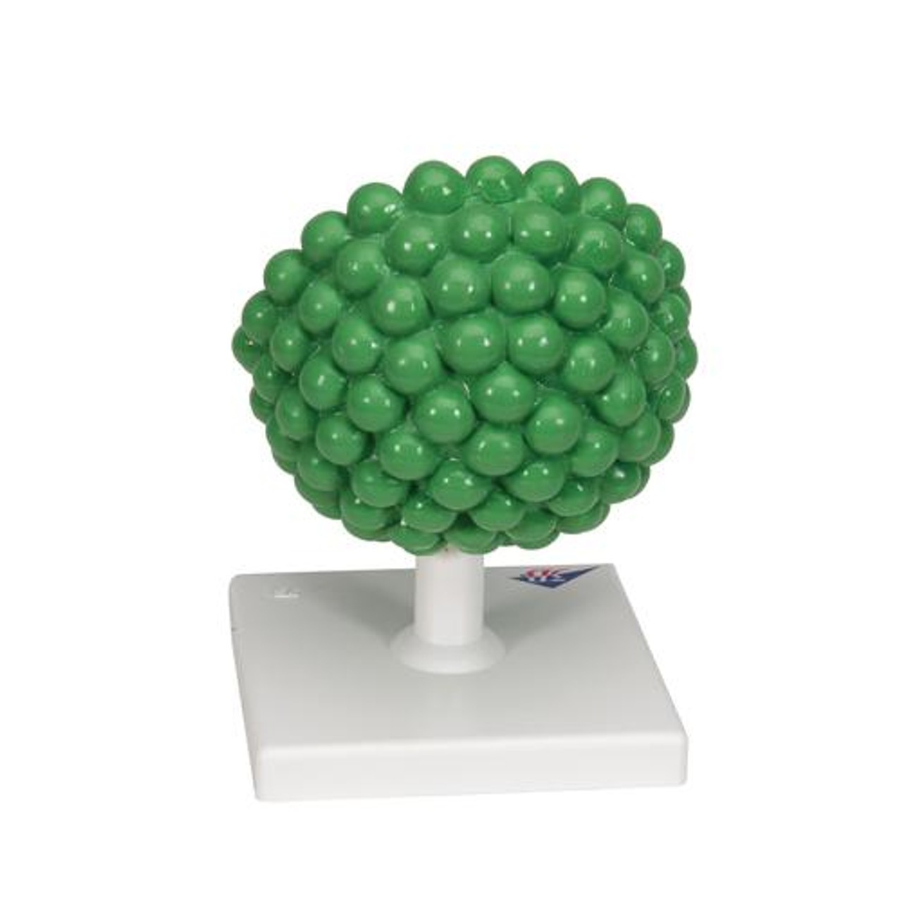 HIV Virus Model