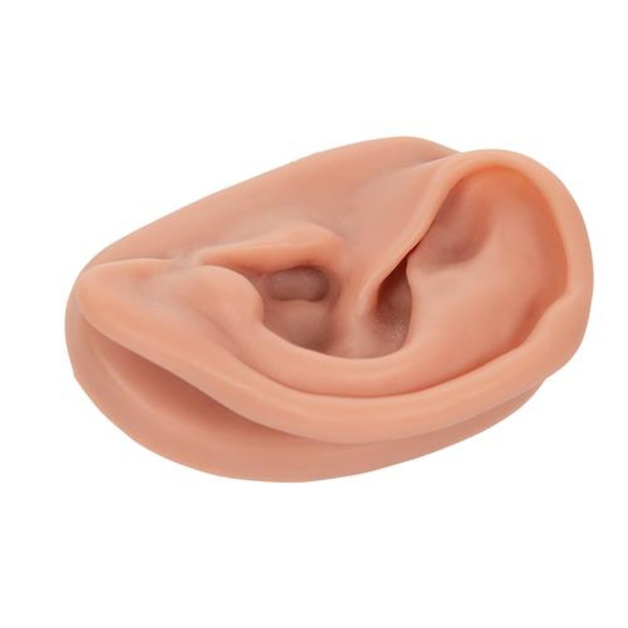 Acupuncture Ear, Left