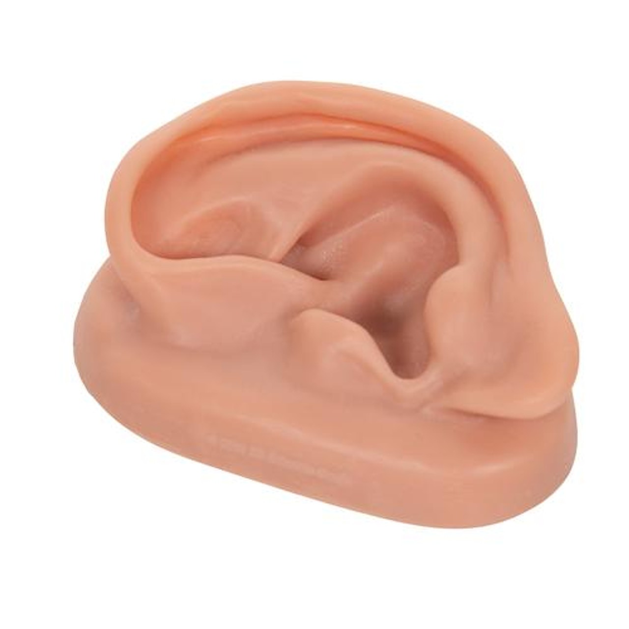 Acupuncture Ear, Left