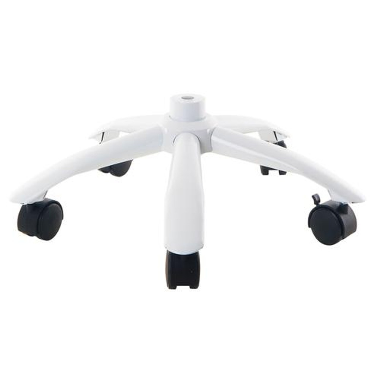 Pelvic-Mounted Skeleton Stand
