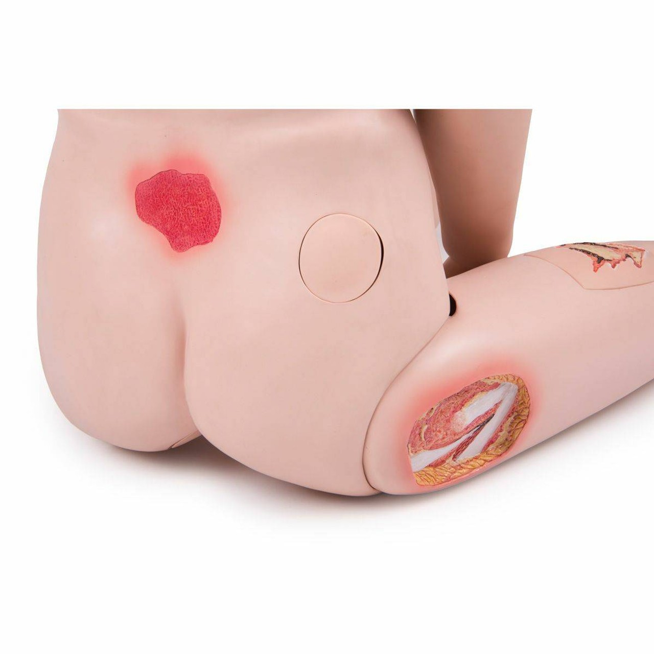 3B Scientific Patient Care Manikin PRO