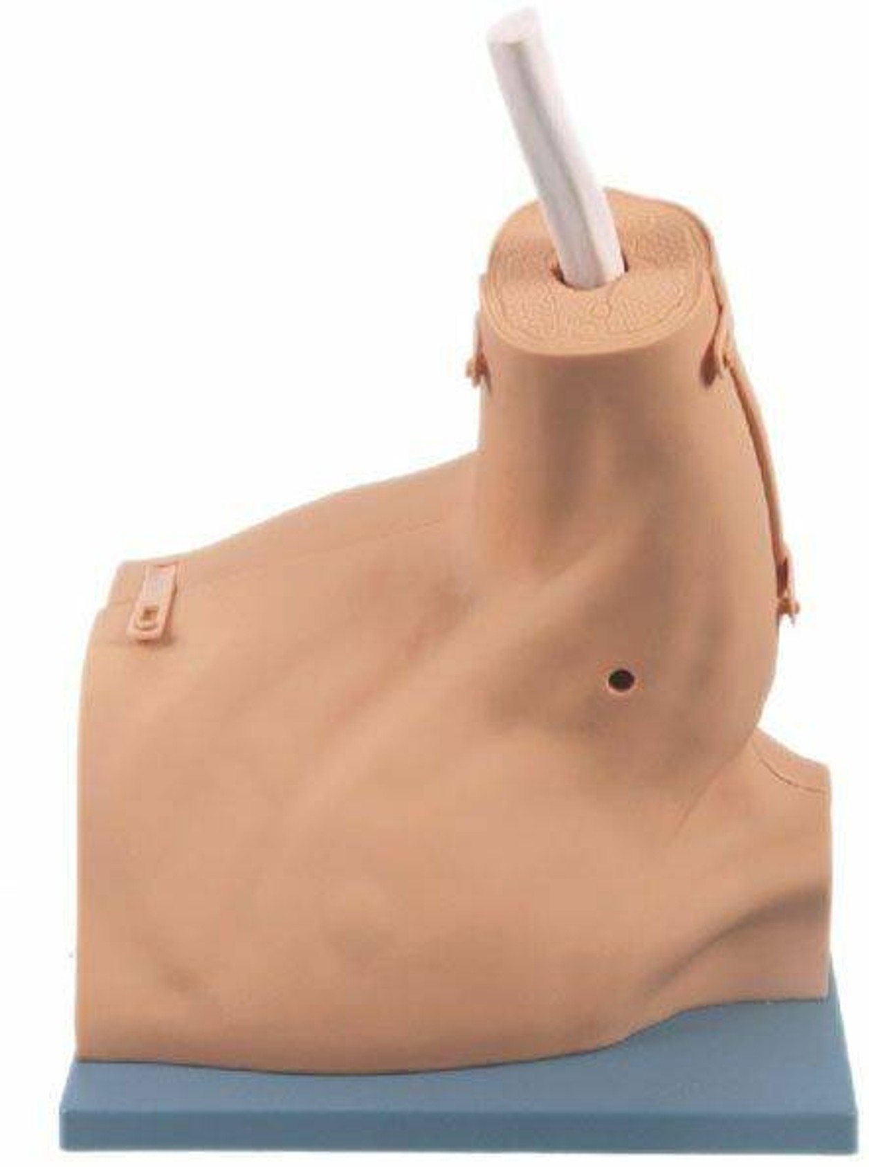 Anatomy Lab Shoulder Arthroscopy Model
