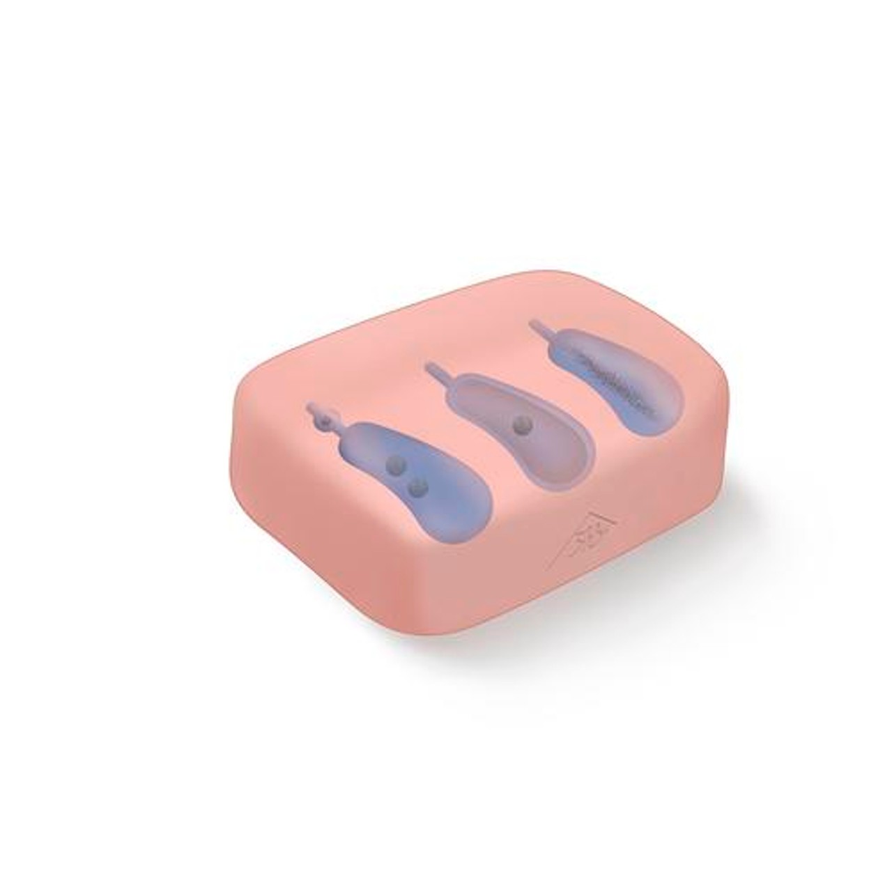 SONOtrain Gallbladder model