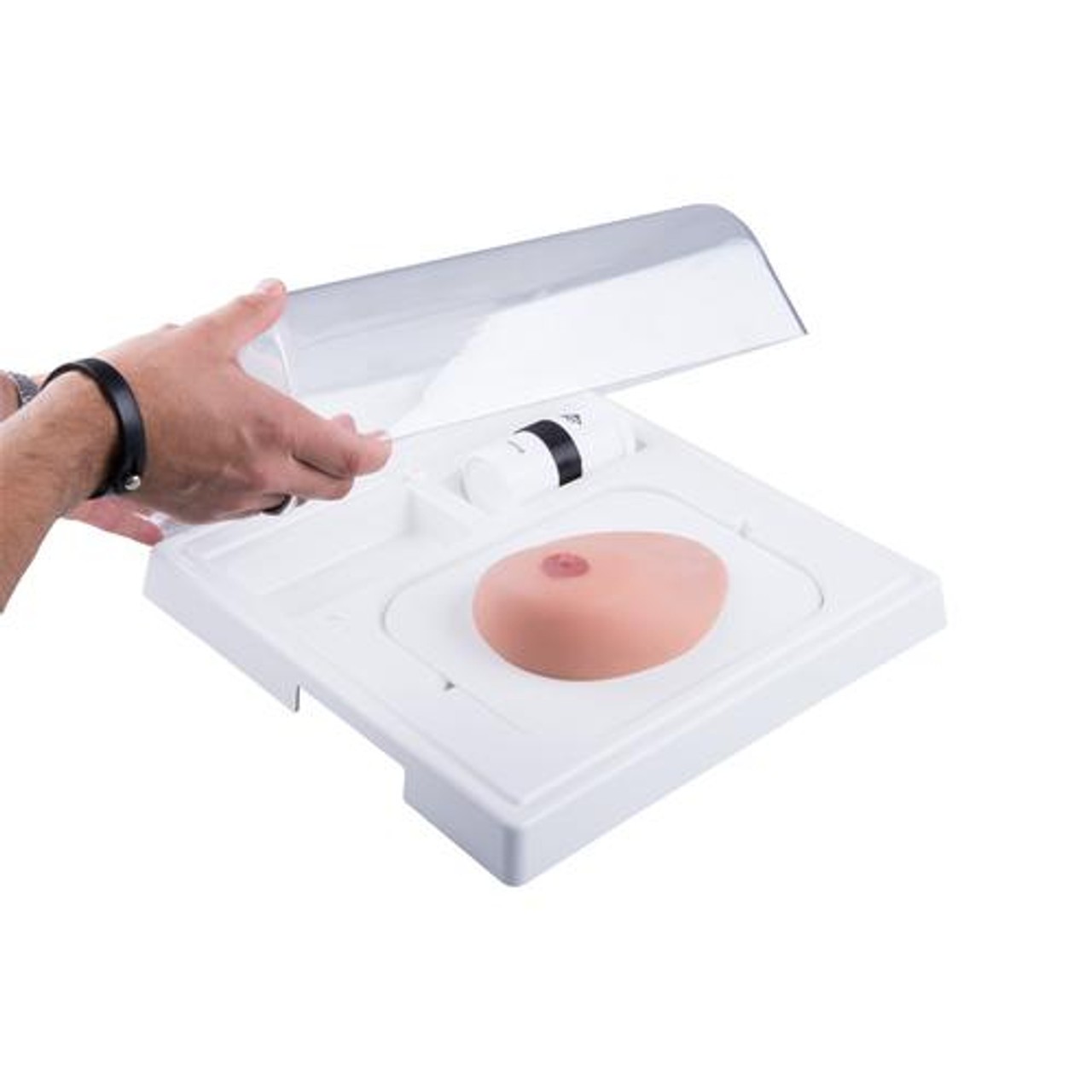 SONOtrain Breast Model with Systs