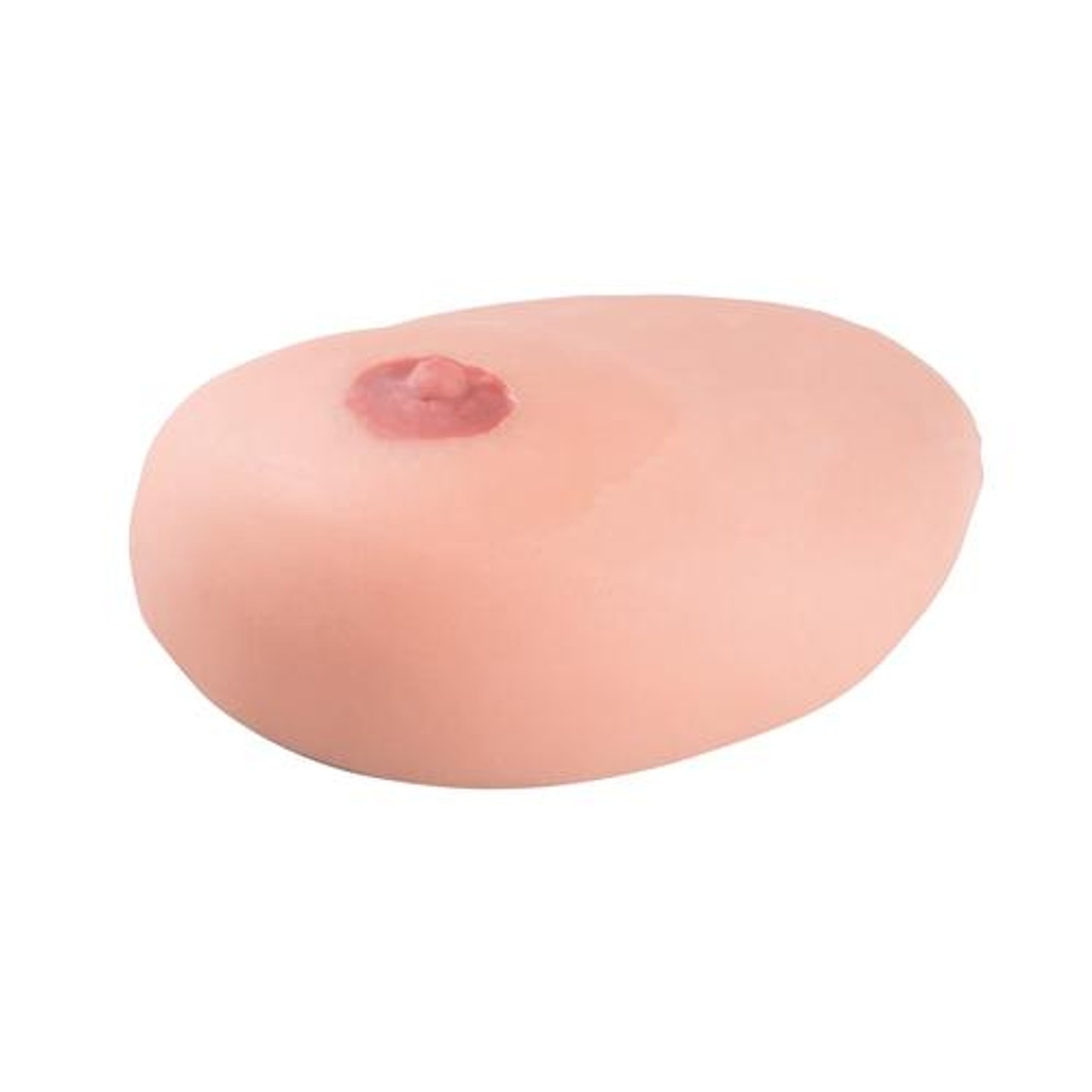 SONOtrain Breast Model with Systs