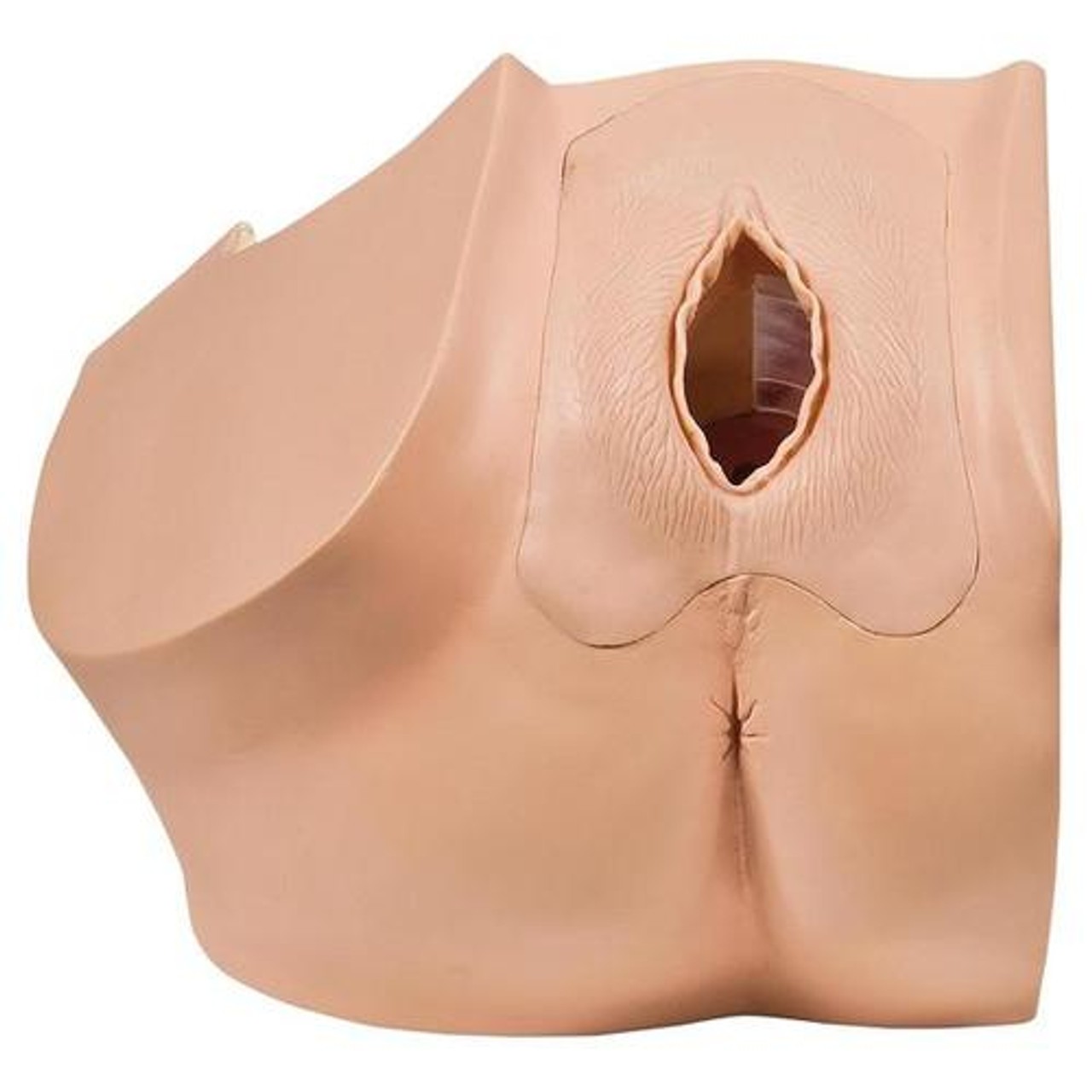 Model for Gynecological Patient Education