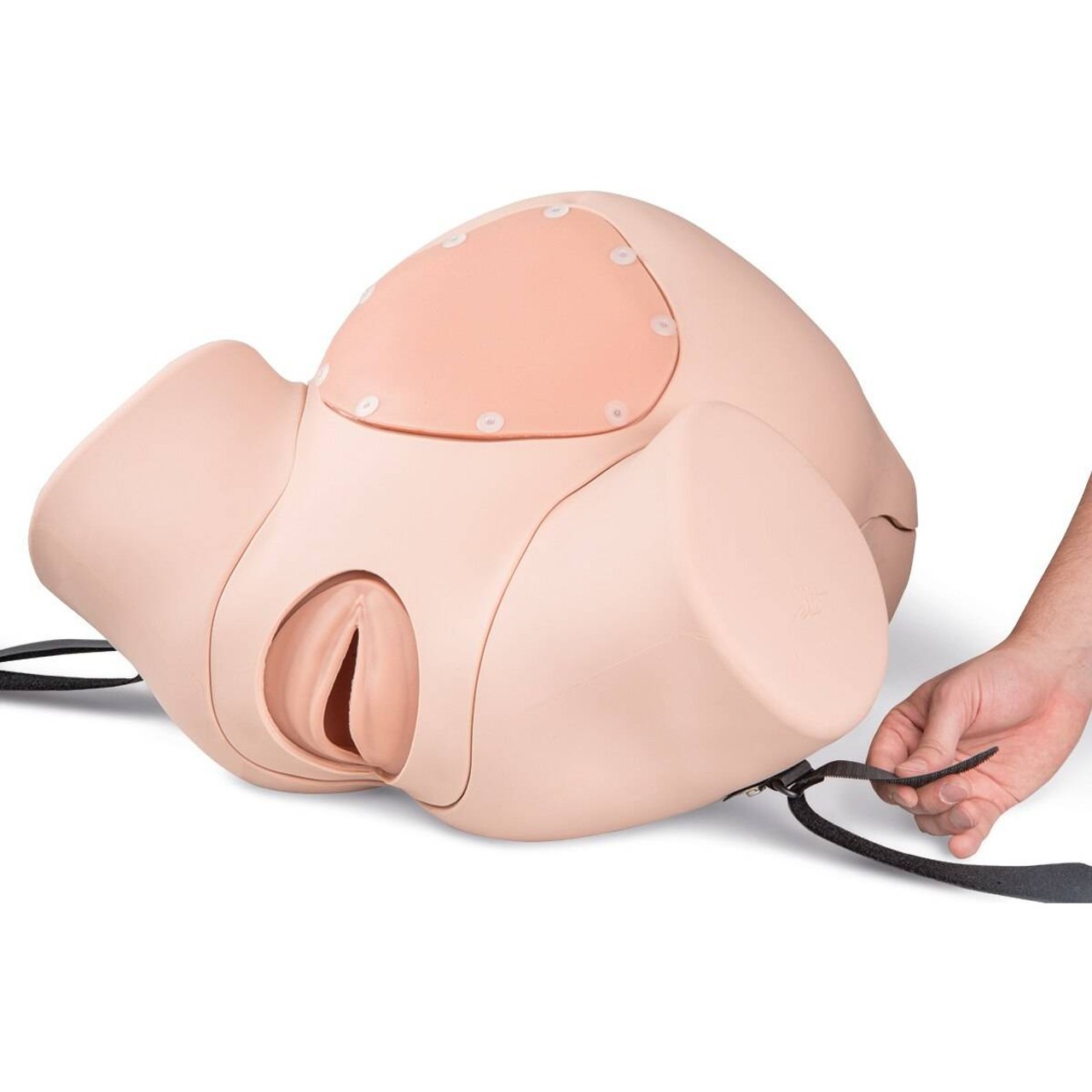 3B Birthing Simulator