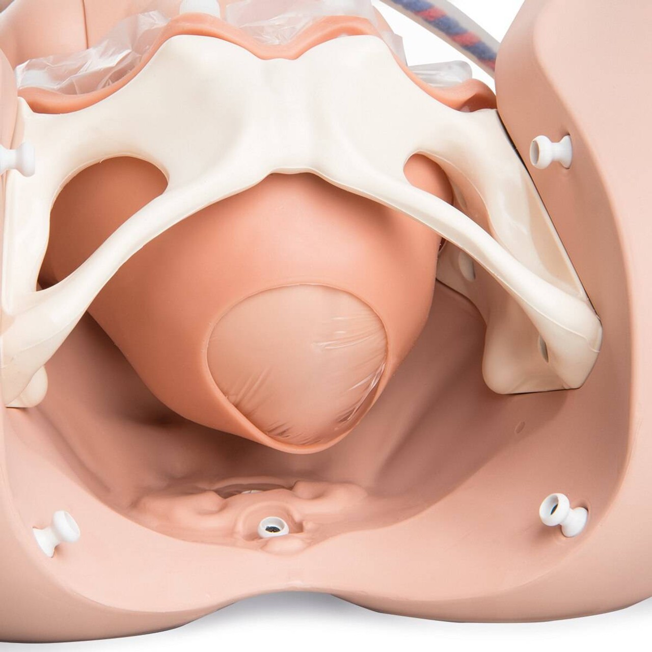 3B Birthing Simulator