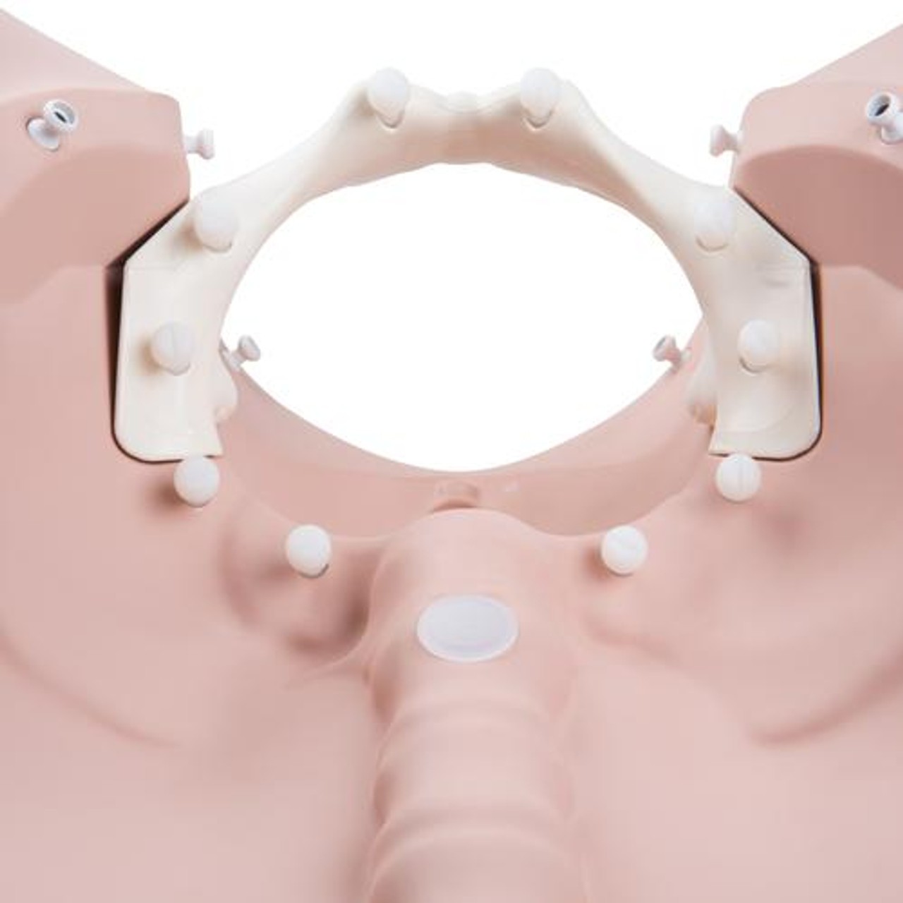 3B Birthing Stages Trainer