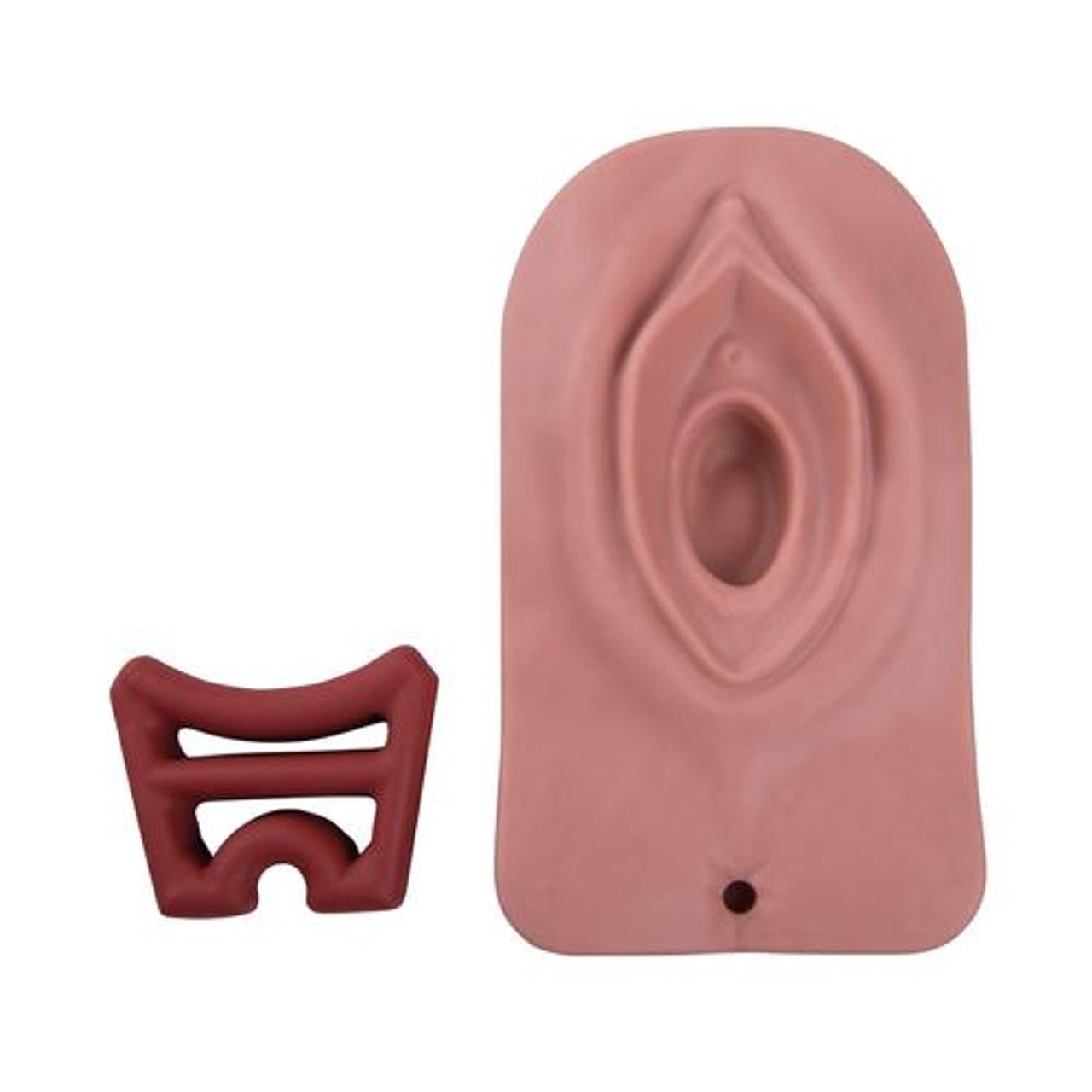 Episiotomy and Suturing Simulator