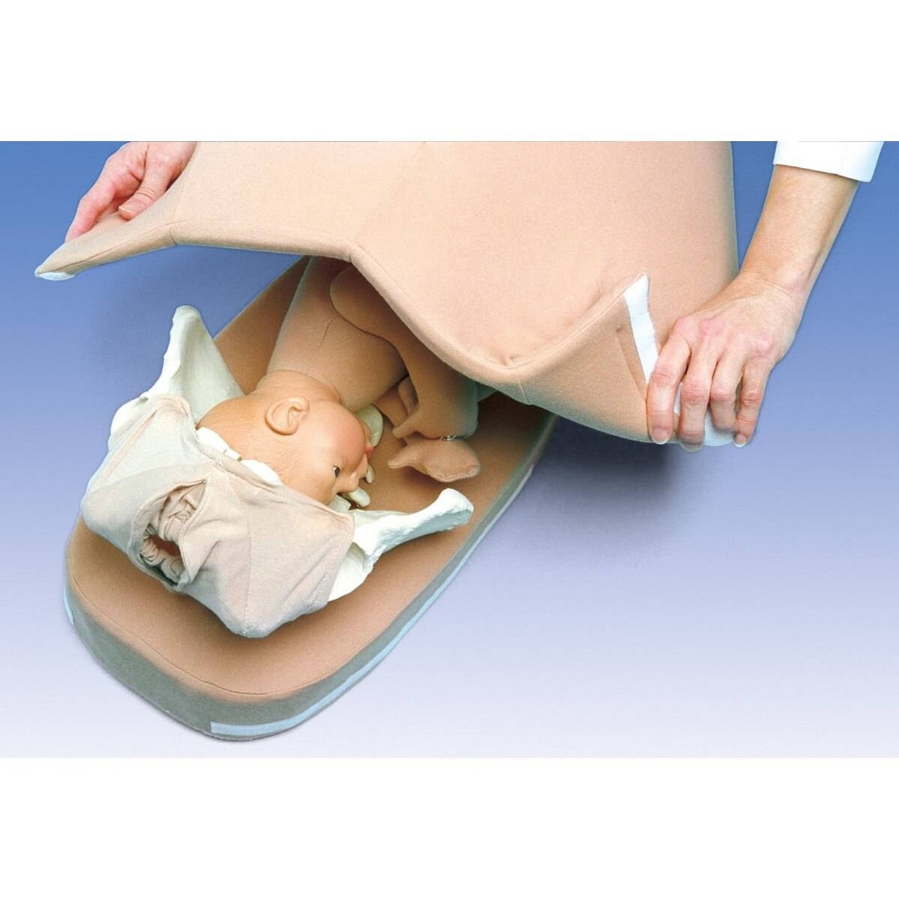 Palpation Model for Leopolds Maneuver