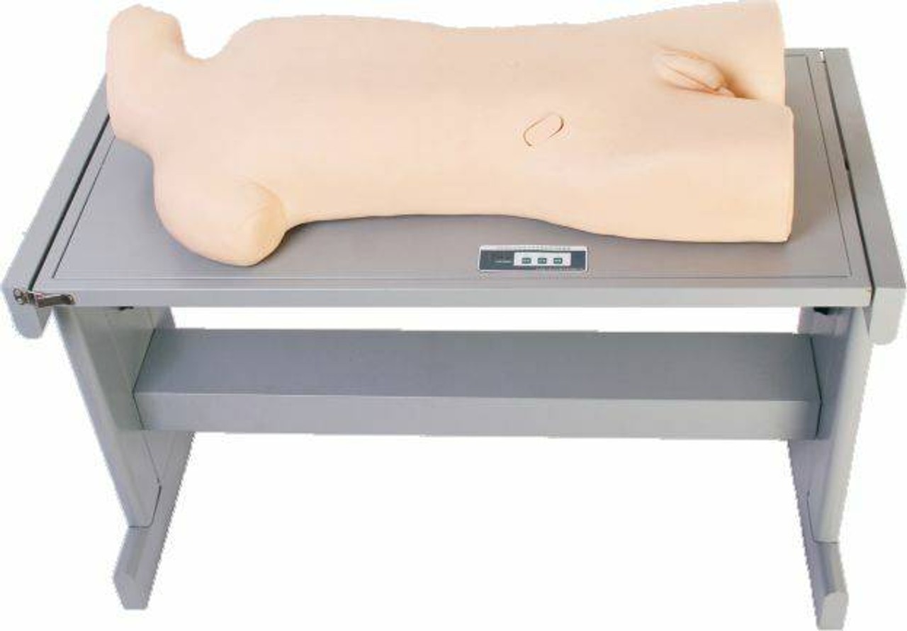 Anatomy Lab Liver Abscess Puncture and Thoracentesis Training Simulator