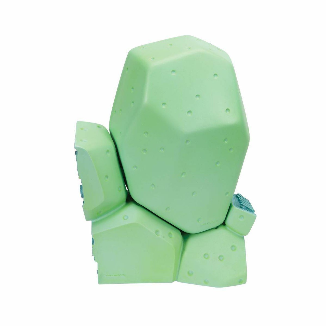 Magnified Plant Cell