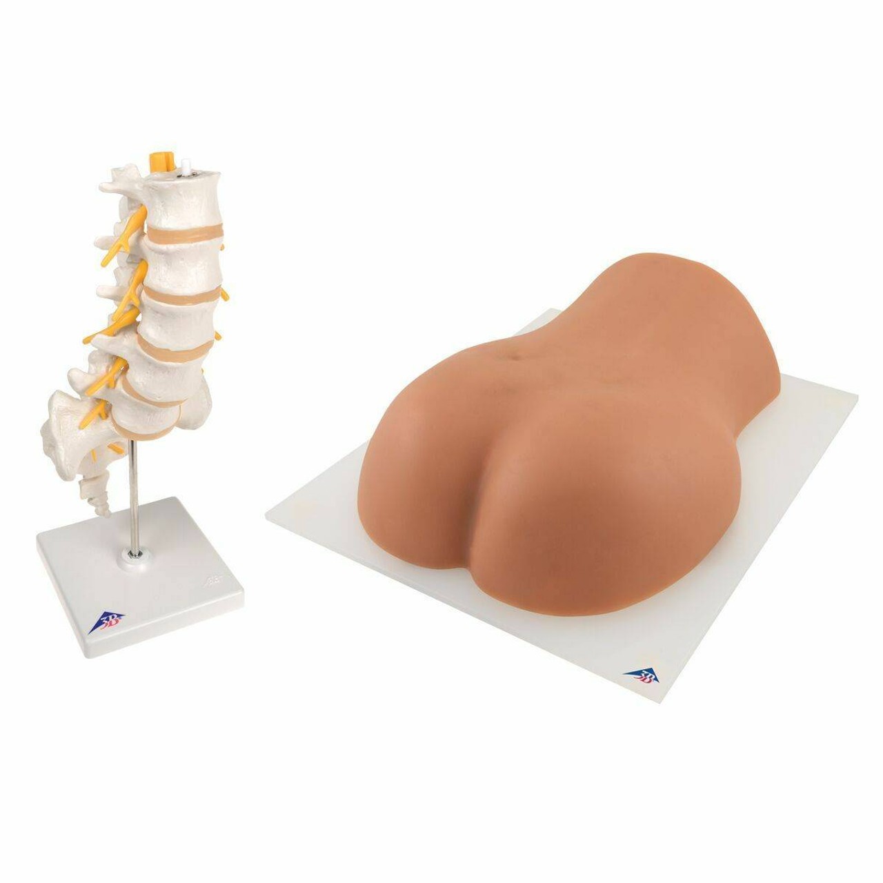 Lumbar Spinal Injection Trainer Kit