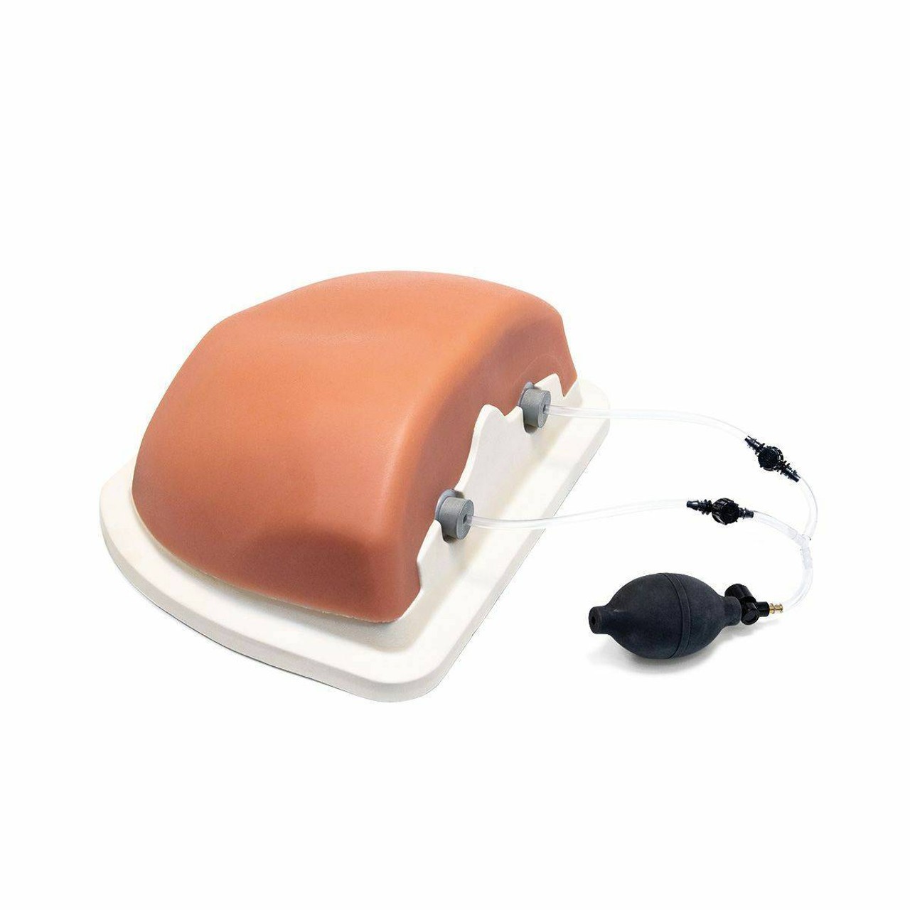 Thoracic Spinal Injection Trainer Kit