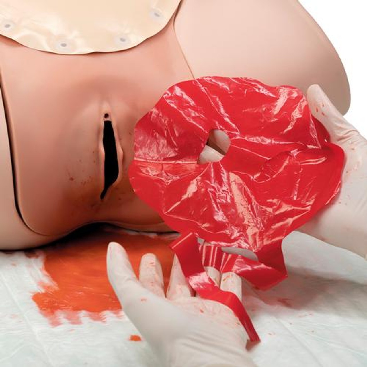 Postpartum Hermorrhage Trainer