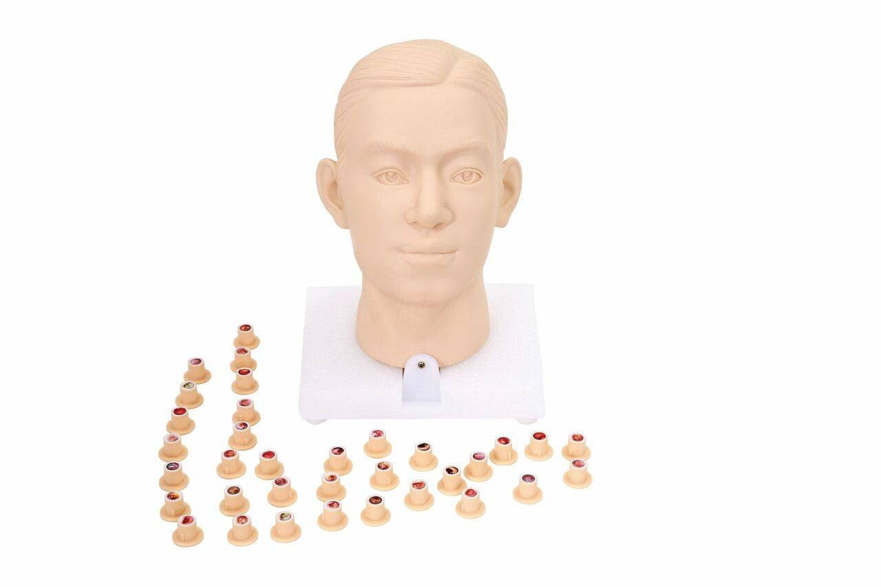 Anatomy Lab Intra-aural Examination Trainer Binaural