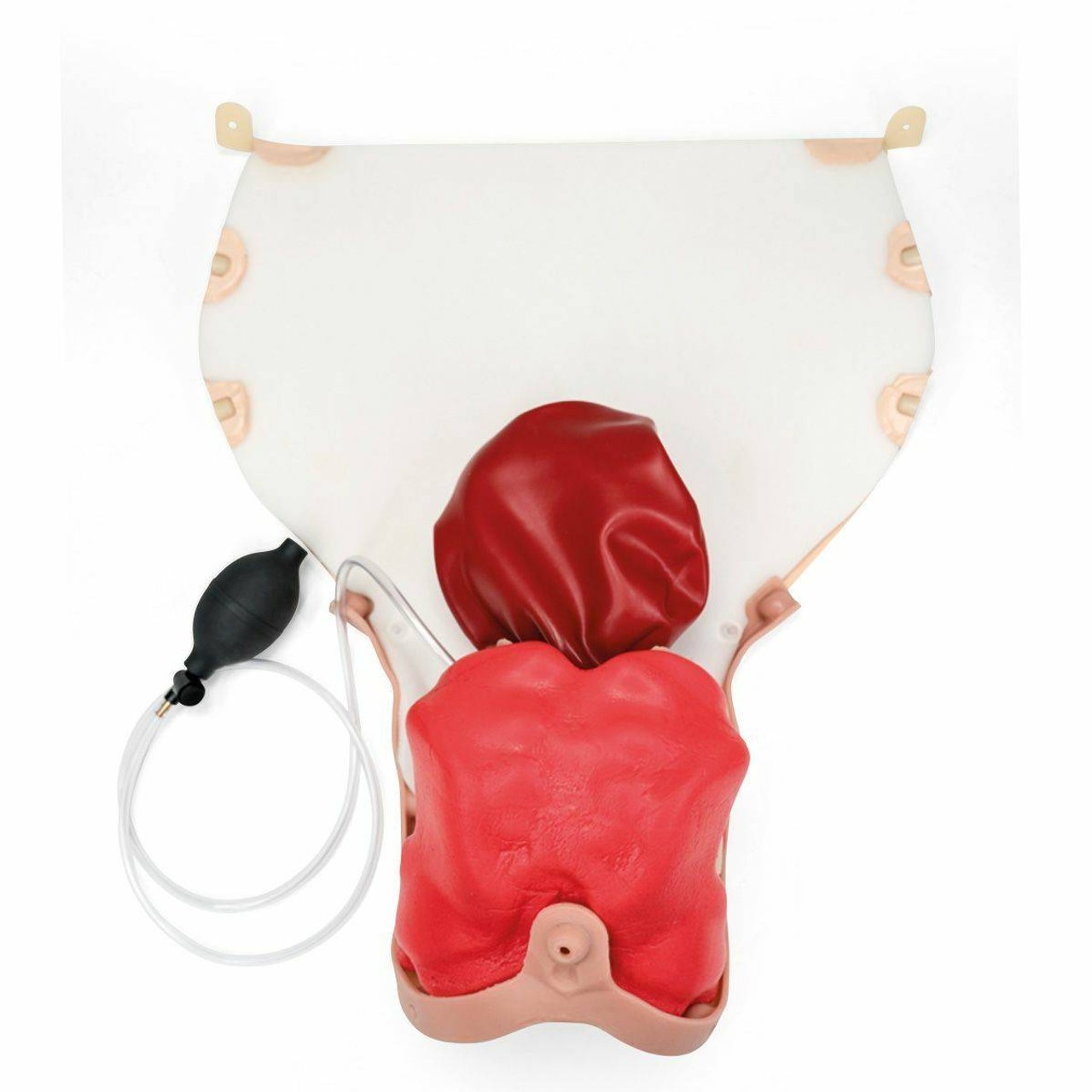 Birthing Simulator Postpartum Hemorrhage Module Birthing Simulator Postpartum Hemorrhage Module
