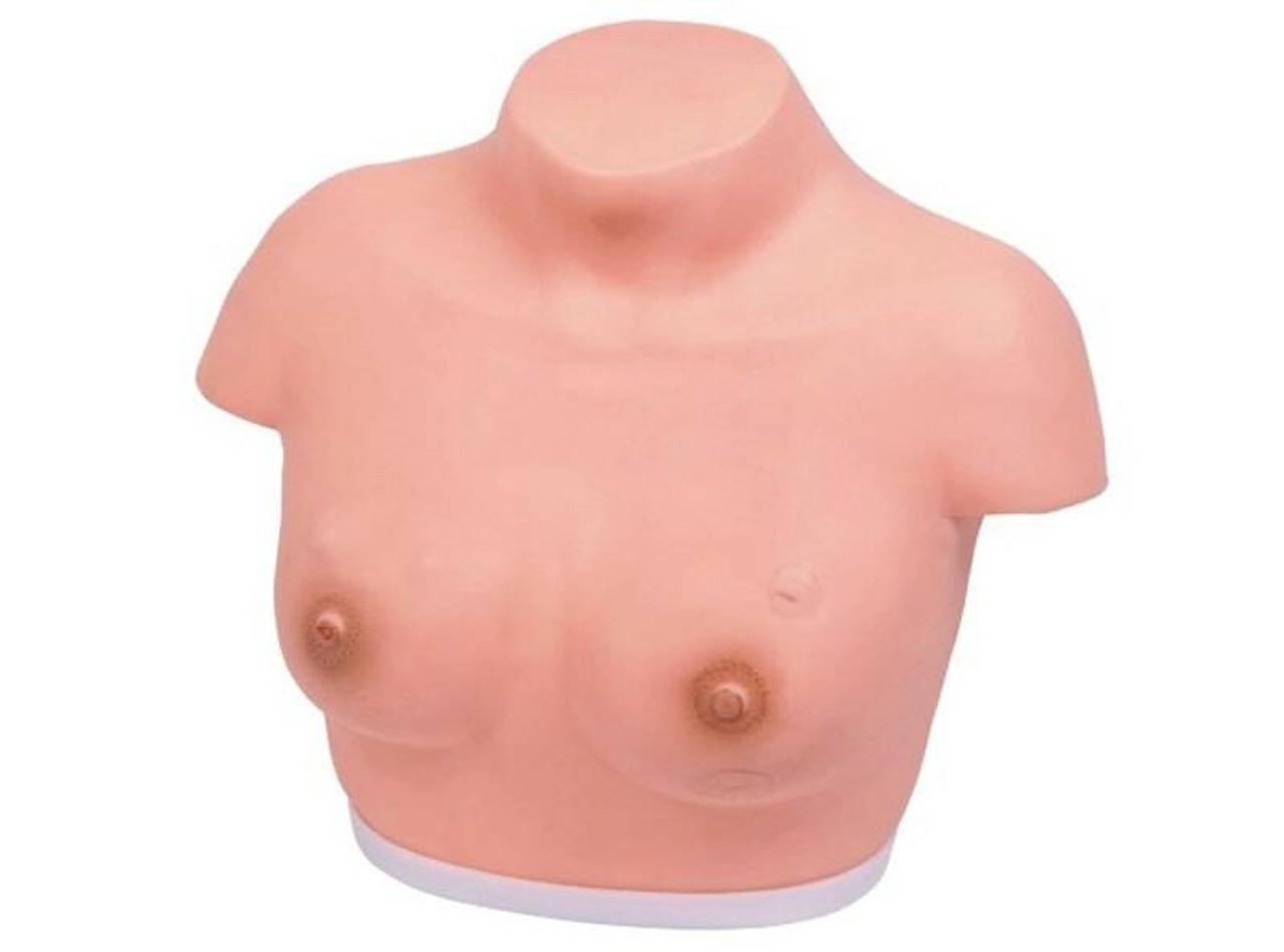 Anatomy Lab Breast Inspection and Palpation Model