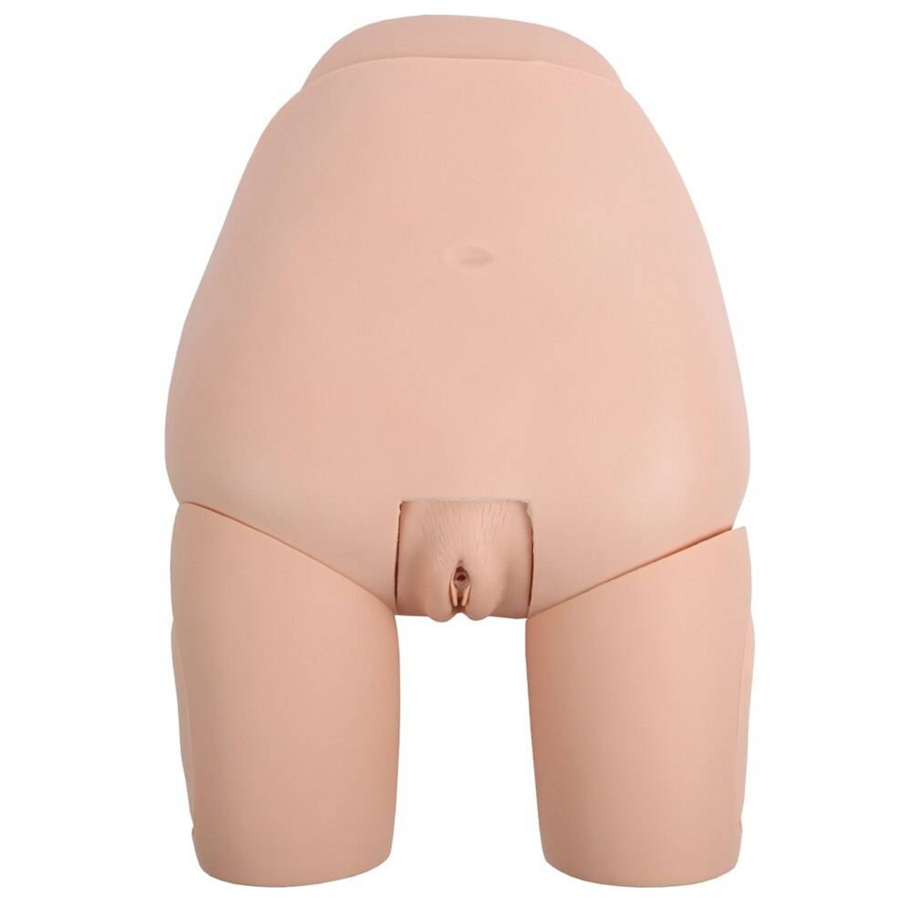 Anatomy Lab Advanced Fundus Assessment Skills Trainer