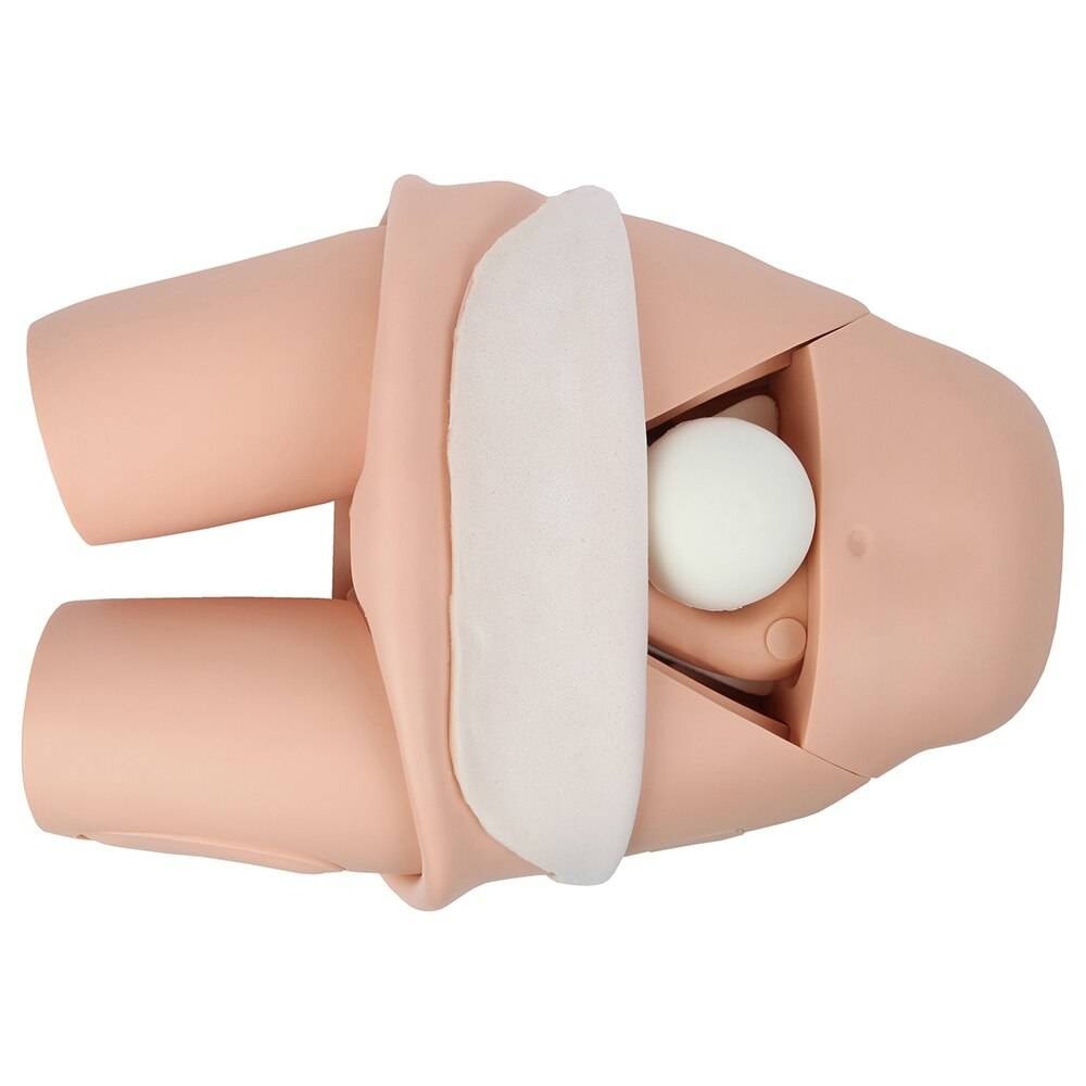 Anatomy Lab Advanced Fundus Assessment Skills Trainer | Anatomy