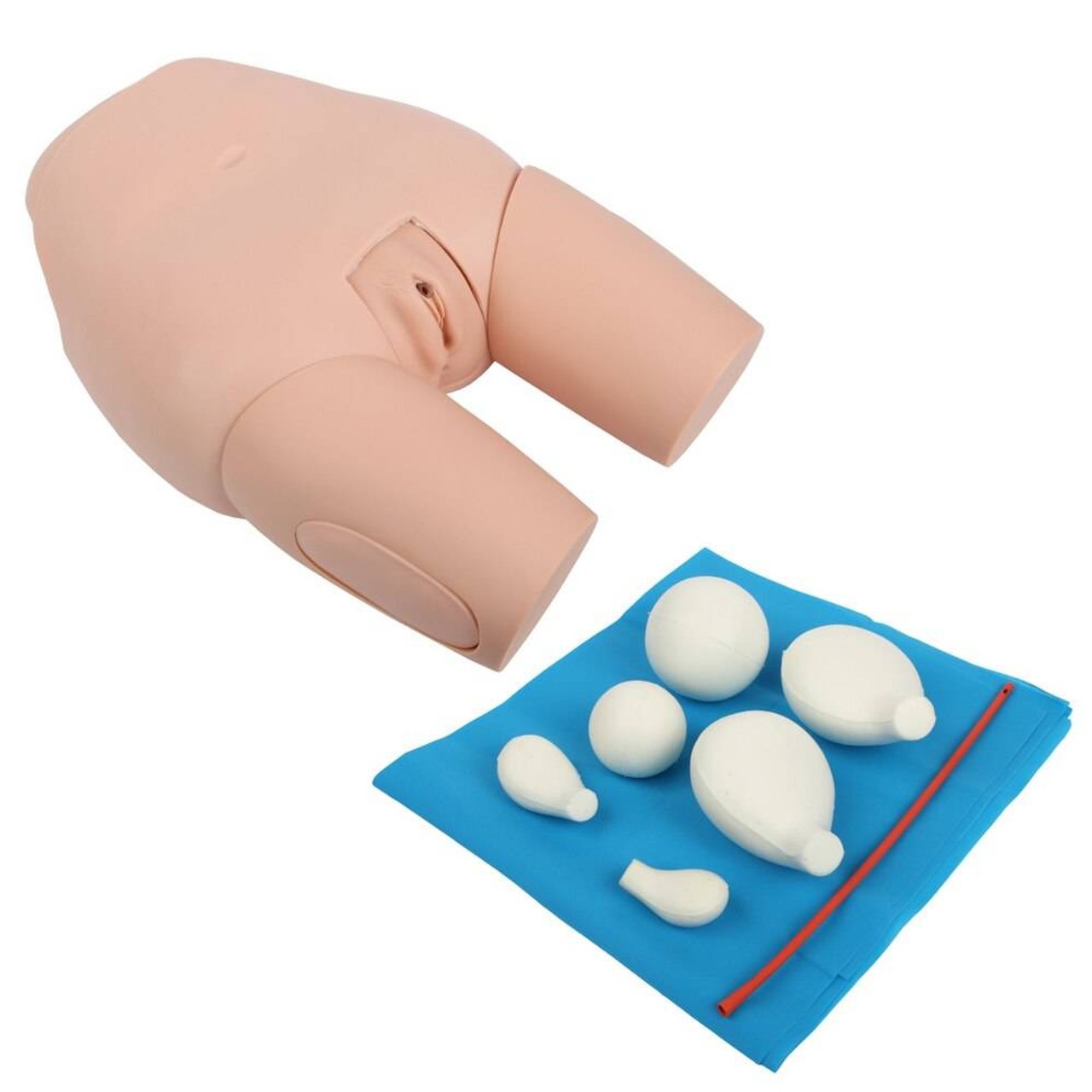 Anatomy Lab Advanced Fundus Assessment Skills Trainer