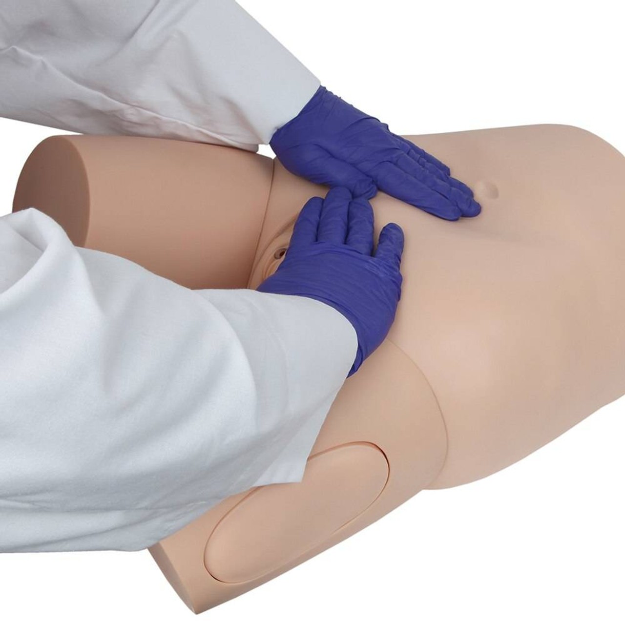 Anatomy Lab Advanced Fundus Assessment Skills Trainer